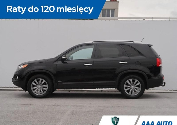 Kia Sorento cena 56000 przebieg: 131500, rok produkcji 2011 z Krzywiń małe 436